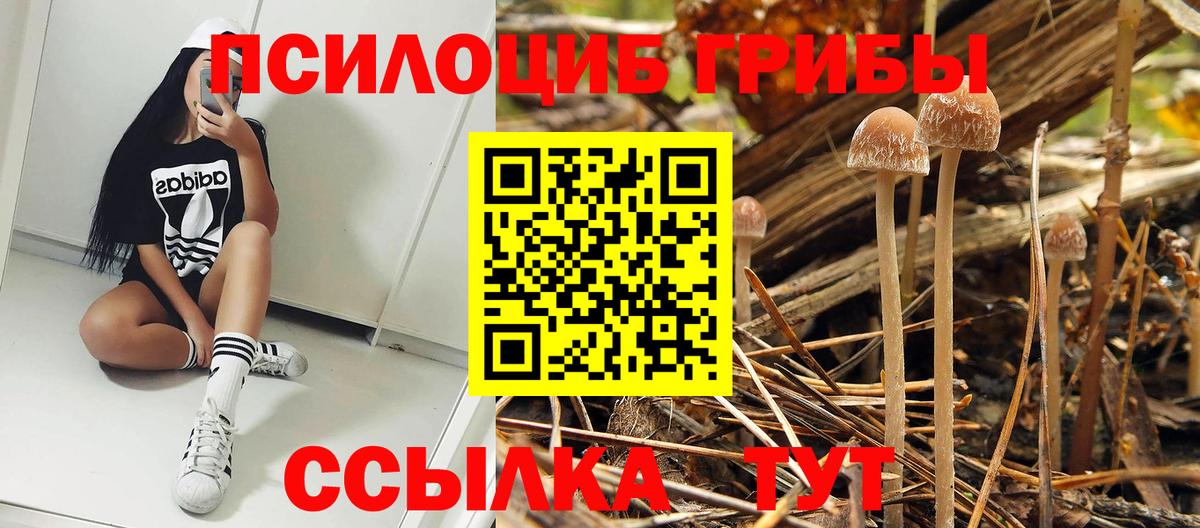MDMA  МЕФ   Гашиш  Экстази  Анжеро-Судженск  Кокаин  ГАШ  Где найти наркотики?  Вход с VPN  Конопля  МЕТАМФЕТАМИН 